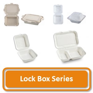 Home 320px Lock Box.JPG